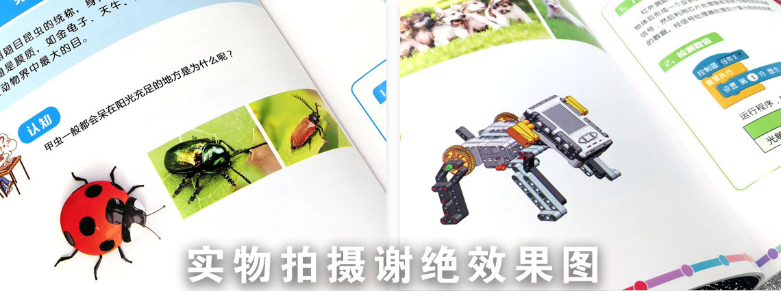 玩具畫冊(cè)詳情頁(yè)