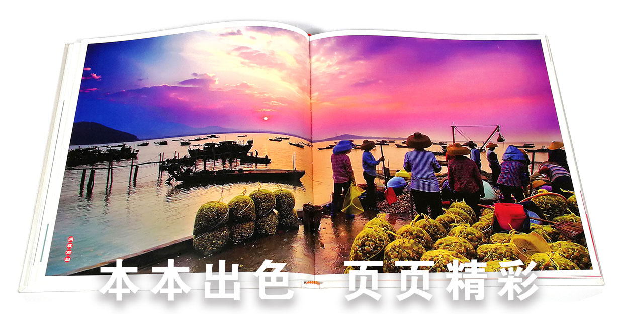 企業(yè)紀(jì)念冊(cè)